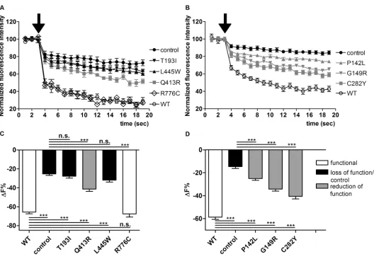 Figure 1. Functionality of wild-type pendrin and seven variants identified in Brazilian deaf patients