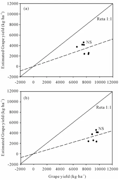 Figure 14. Relationship between grape yield in year 2 (2009/ 2010) and grape yield estimated by the SPAD reading 