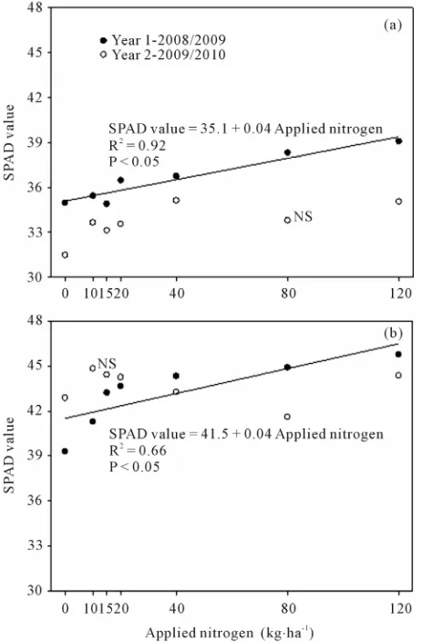 Figure 10. Relationship between the dose of nitrogen ap- plied and the SPAD-502 readings in the leaf collected at 