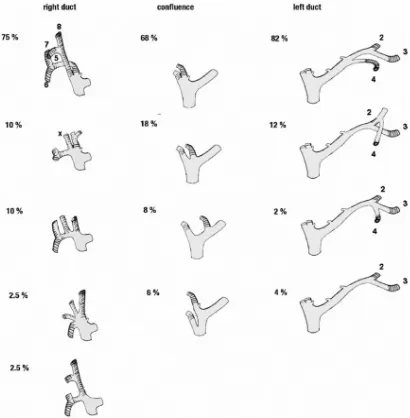 figure;2 The main biliary confluence is formed outside the liver parenchyma, 