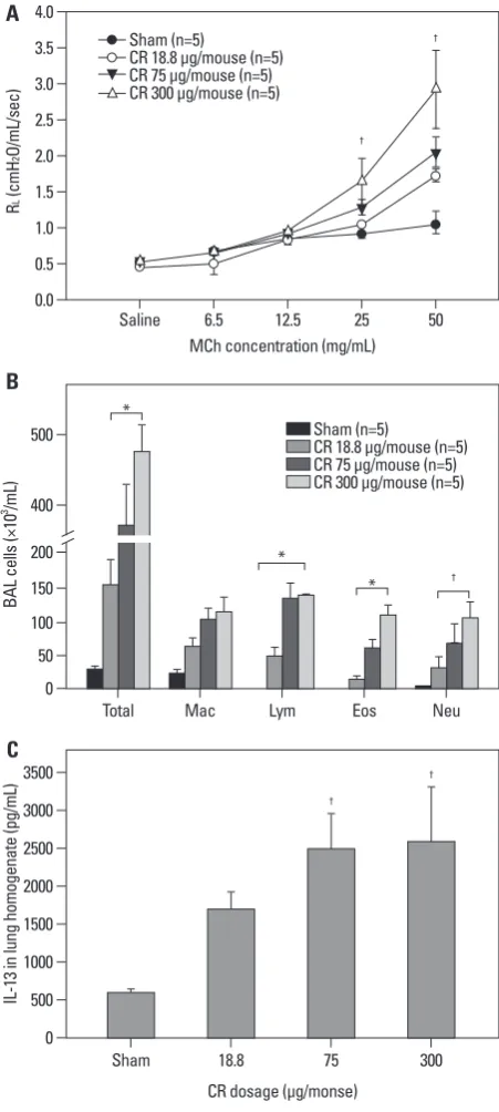 Fig. 1. Dose-dependency of CR extract-induced asthma model in BALB/c mice. Developments of AHR (A), airway inflammation (B), and IL-13 level in the lungs (C) showed the dose-dependency of CR extracts