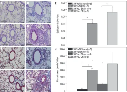 Fig. 6. Effects of heat inactivation on the CR extract-induced asthma model in BALB/c mice