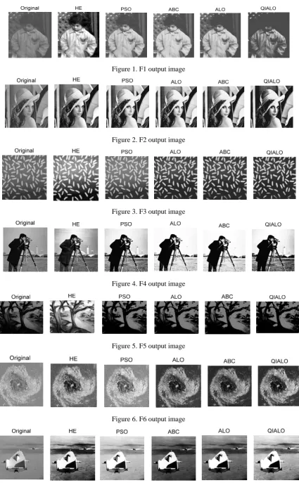 Figure 1. F1 output image 