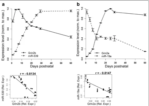 Fig. 1 a, b. Expression of mRNAs encoding the NMDARs in rat hippocampi. qPCR analysis showing the relative expression levels of Grin2a andGrin2b mRNAs and their targeting miRNAs during development (from P1 to P60) in hippocampi (n = 3)