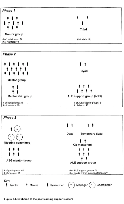 Figure 1.1. Evolution of the peer learning support system 