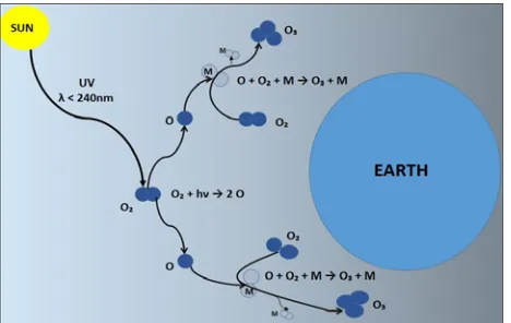 Fig 1. The Production of Ozone Based on the Chapman Reactions. 