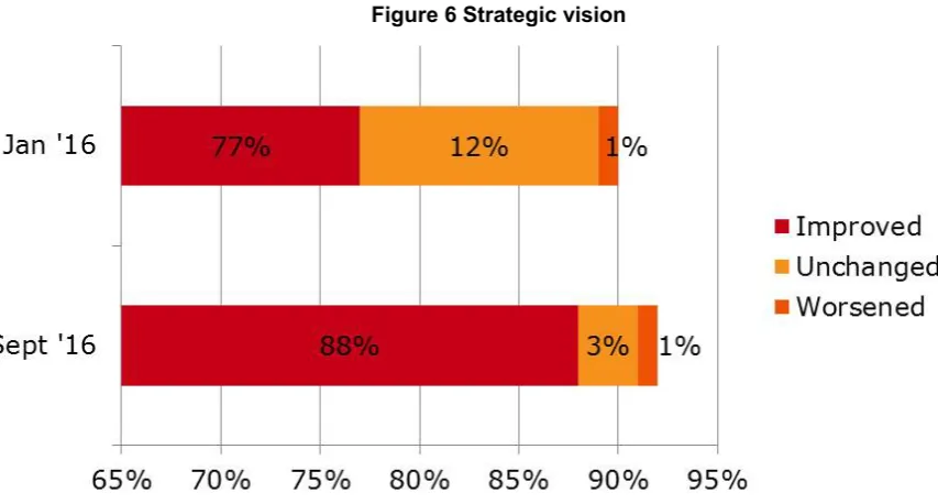 Figure 6 Strategic vision 