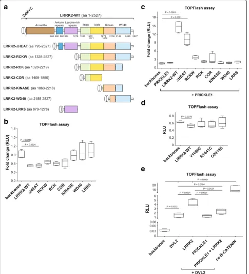 Fig. 5 LRRK2 inhibits the activity of WNT/LRRK2. ANOVA with Holm-Sidak multi-comparison test and Mann Whitney T-test (for the PD mutants) was used for statistical analysis
