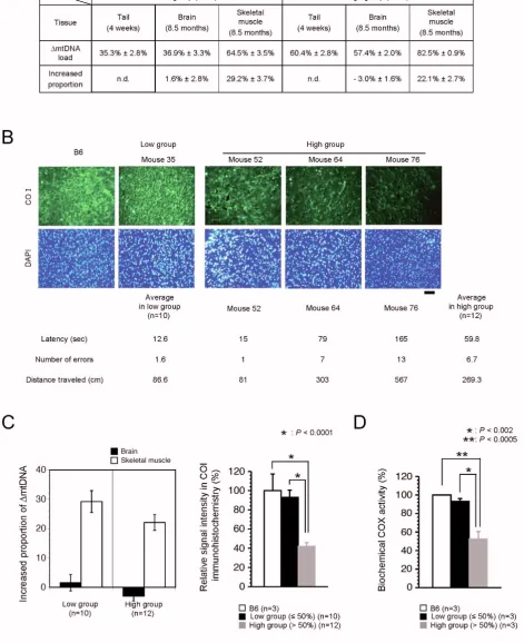 Figure 4 (see legend on next page)
