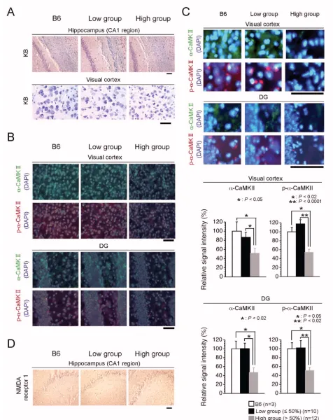 Figure 5 (see legend on next page)