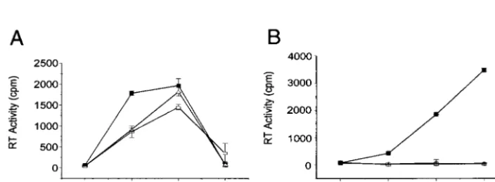 FIG. 1. Schematic representation of the DIS stem-loop sequences in the HIV-1 RNA genome