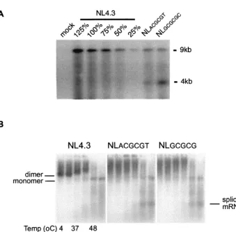 FIG. 3. (A) Mutations in DIS stem-loop inhibit virion packaging of genomic RNA. Virion particles were produced by transfecting the indicatedproviral DNA into 293T cells