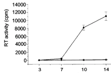 FIG. 6. Replication kinetics of wt HIV-1 and DIS stem-loop mu-tants passaged through PBMCs in Sup T1 cells