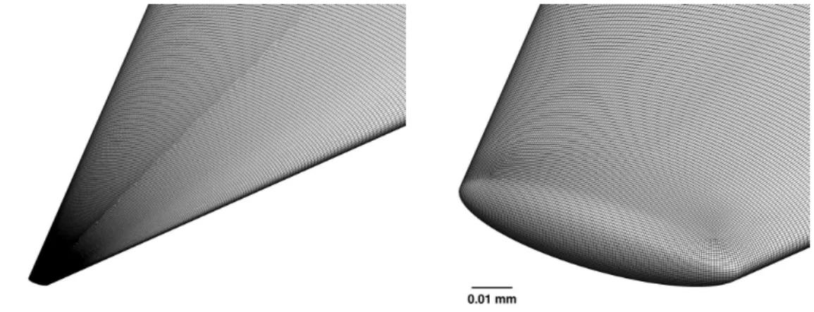 Figure 14 plots two images of the grid near the nose tip; the grid has a total of 82 million elements, with 130 elements in the wall-normal direction