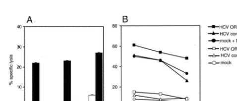 FIG. 7. Impairment of NK cell activity is directly mediated by HLAclass I expression. HLA class I molecules of HepG2 target cells, either