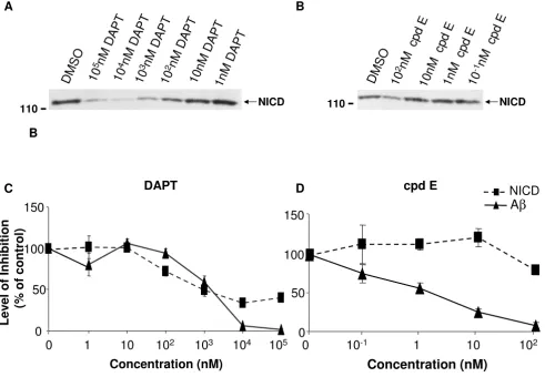Figure 1βline). Levels of Aline). Comparison of NICD and Aincubated at 37°C for 4 hours