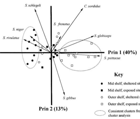 Fig. 4. Dendrogram produced from a hierarchical clusteranalysis using log-transformed abundance of the 15 mostcommon scarid species, Bray-Curtis distance and the averagelinkage method