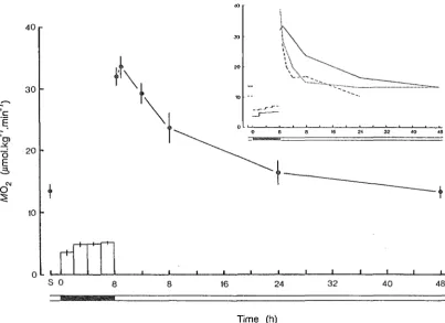 Fig. 5.1 The effect of exercise in air, emersion,after exercise, and subsequent reimmersion, on oxygen uptake (M02 ) in Jasus edwardsii at 17°C
