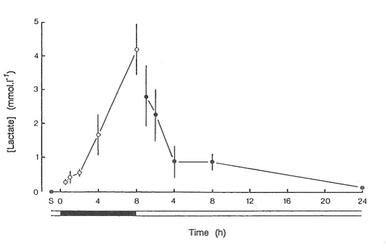 Fig. 4.7 Changes in haemolymph [lactate] during 8h emersion and 24h reimmersion at 17°C