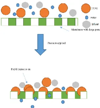 Figure 3 also shows the EDX spectrum of membrane not only PSf but with additive PANI and Ag