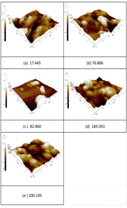 Figure 4.  SEM images of surface roughness of the membrane (a) Psf only, (b) Psf coating with PANI 30 min, (c) Psf coating with PANI 120 min, (d) Psf coating with PANI/Ag 30 min, (e) Psf coating with PANI/Ag 120 min