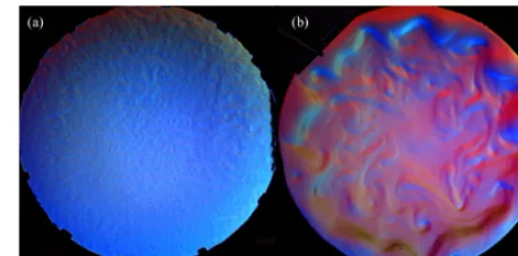 Figure 2. Typical images from video sequences recorded in the ex-periments with thermal (a) and saline (b) forcing