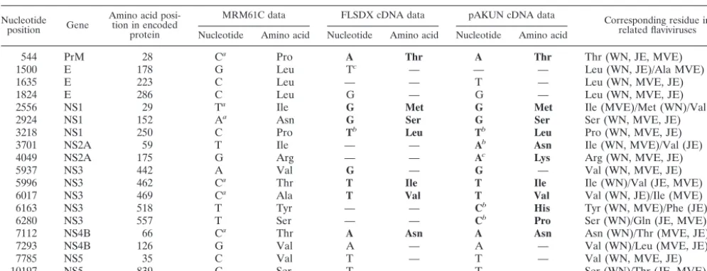 TABLE 1. Differences between published KUN MRM61C sequences and sequences of infectious KUN cDNA clonesd
