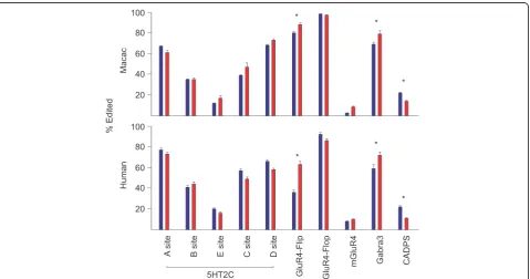 Fig. 2 Comparison of the average extent of editing in striatum and cortex. The extent of editing at each site is compared between striatum (means of each brain region using T-tests (*two brain regions, asterisks are only plotted when similar results are ob