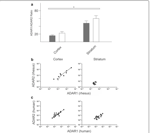 Fig. 5 ADAR1 and ADAR2 expression in human and(human results indicated byADAR1 and ADAR2 expression in rhesus macaque brain tissue