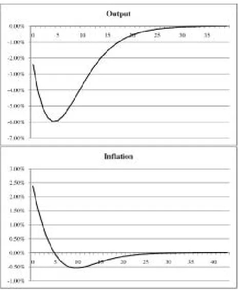 Figure 3: Impulse Response to Temporary Contractionary Supply Shock 