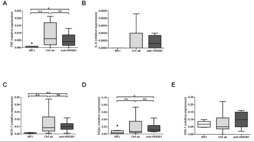 Figure 5. HMGB1 mAb treatment of MRL/lprby measuring BUN levels at wks 7, 11 and 17. (B) Albumin was measured by ELISA in 18-h urine of MRL/MPJ (n = 10) and MRL/lpr (n = 10–12) mice at wks 7, 11 and 17
