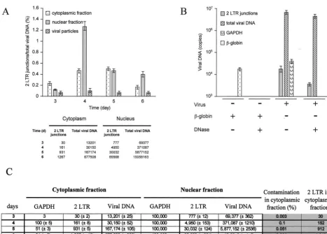 FIG. 4. Subcellular repartition of two-LTR junctions was measured by quantitative real-time PCR
