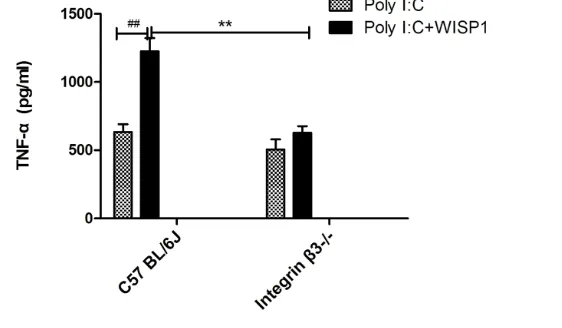 Figure 7. Effects of WISP1 on poly(I:C)-induced TNF-presented as mean ± SEM (n = 5) and compared by two-way ANOVA