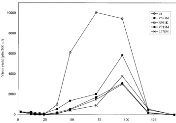 FIG. 4. Inﬂuence of DNA Pol mutations on HSV replication capacities in single-step growth kinetics
