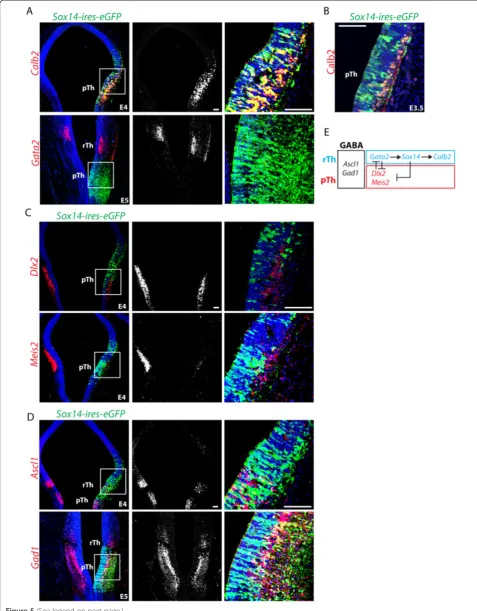 Figure 5 (See legend on next page.)