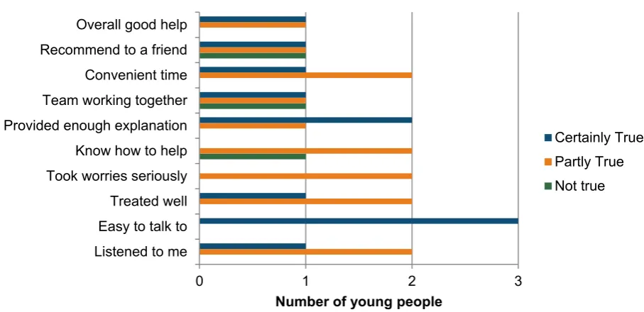 Figure 6: Frequency of answers given by interviewed young people to CHI-ESQ questions (n=3) 