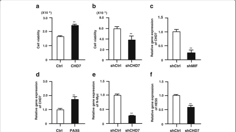Fig. 6 CHD7 signaling cascade in human ES-NSPCs.CHD7-shRNA expression decreased the gene expression of N-MYC (of three independent experiments