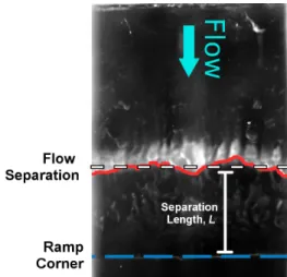 Figure 2.5: Example of oil streak flow visualization image, showing the sepa- sepa-ration line and compression ramp corner
