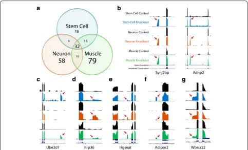 Fig. 4 Tdp-43 cryptic exons are highly variable between cell types. (a) While some cryptic exons are common between cell types, many crypticexons are unique to neurons (58), muscle (79) and stem cell [22]