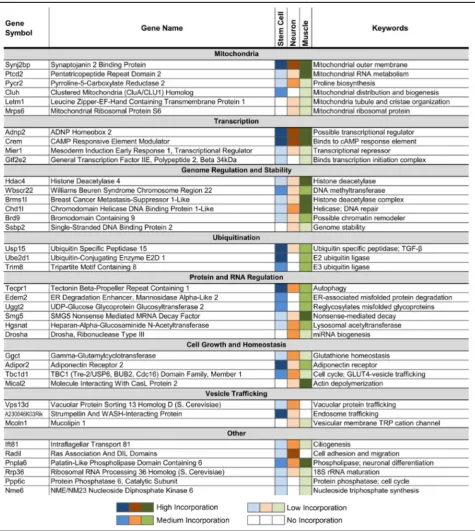 Table 1 Common pathways affected by Tdp-43 cryptic exons across mouse stem cell, muscle and neuron (cryptic exon present inat least two cell-types)