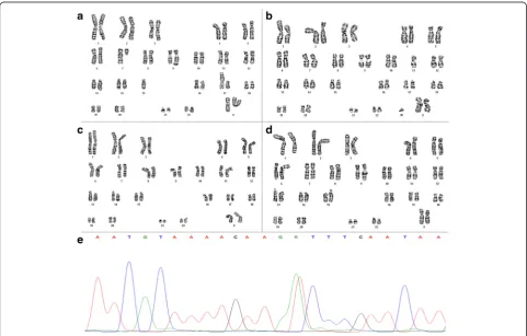 Fig. 1 Cytogenetic and molecular analysis of uterine leiomyomas.Karyotype: 45,XX,del(3)(q24q25.33),del(7)(q11.2),add(9)(q34),-15,der(17)t(15;17)(q?22;p?11.2)[3]/46,XX[3]