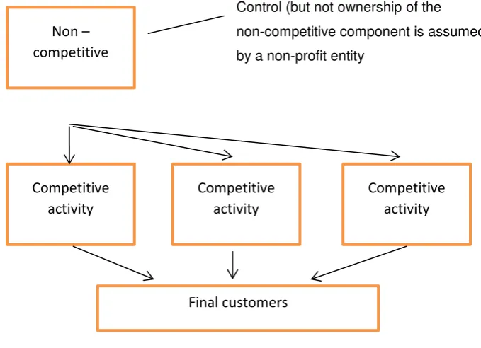 Figure no. 4: operational separation (source: OECD Report 2001, p 15) 