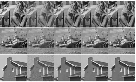 Figure 1. Displaying denoising results for, (a) original image (b) Noisy image, (c) Image denoised  using K-SVDdictionary  (d) Image denoised using FDL dictionary(e) Image denoised using Our dictionary