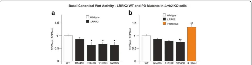 Fig. 6 Effect ofindicate the pathogenicmutation enhances canonical Wnt activity (pathogenic LRRK2 mutations on basal Wnt signalling