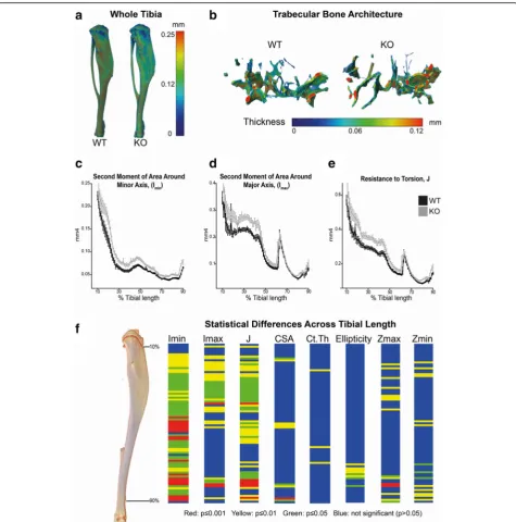 Fig. 1 Lrrk2that in addition to the parameters Iand knockout mice, using 1-way ANOVA followed by Tukey-Kramer post-hoc analysis (blue = n/s, yellow, knockout mice display increased tibial cortical bone strength