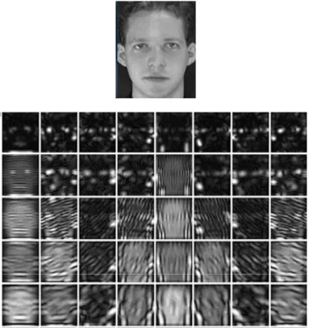 Figure 2. An input face image and the Gabor feature rep- resentation. 