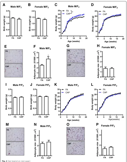 Fig. 2 (See legend on next page.)
