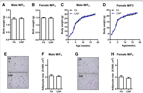 Table 5 Organ weights of adult F(mean ± SEM). *3. These were offspring offemale M/F2. All the data were expressed as % of body weightp < 0.05 versus FA, one-way ANOVA