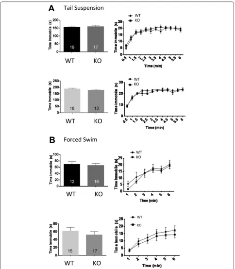 Fig. 6 Depression-like behavior in Deaf1 knockout mice. Behavioral despair phenotype was assessed using tail suspension and forced swim testsspent immobile was averaged across the final four minutes of the test (left panels) and the time spent immobile sho