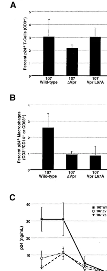 FIG. 3. The Vpr L67A nuclear export mutant is less efﬁcientlyincorporated into newly formed virions yet retains the ability to bind to